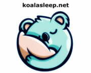 koalasleep.net